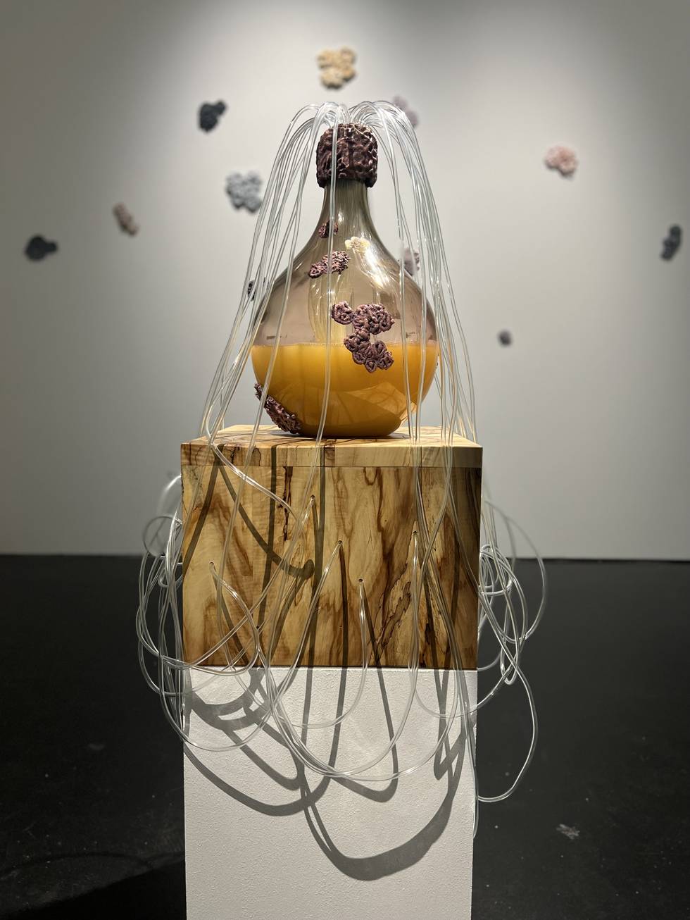 „Dumitriu_May „Fermenting” „Dumitriu_May „Fermenting”